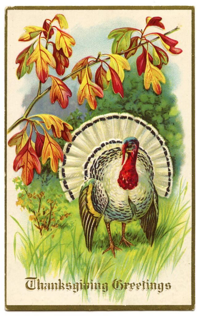 Thanksgiving