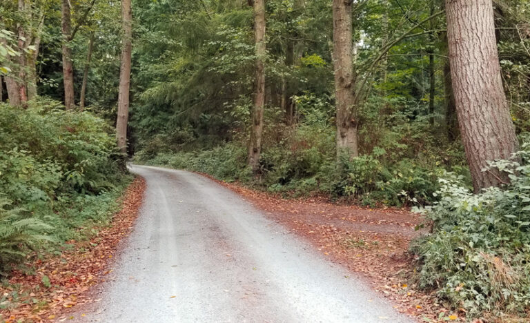 Autumn Hints