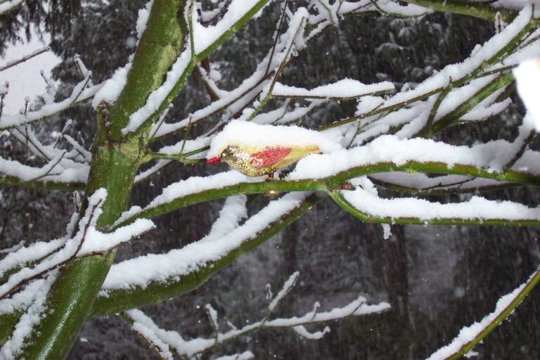 It’s snowing!