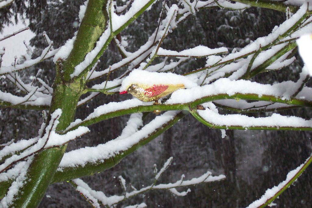 It’s snowing!